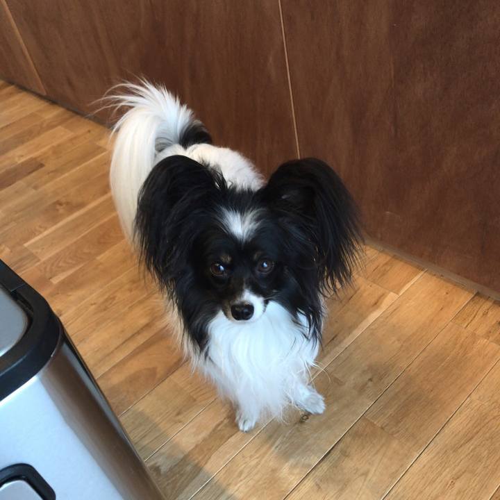 Cbf7da00 1e6d 48e4 b136 395070320de9 1552904420432