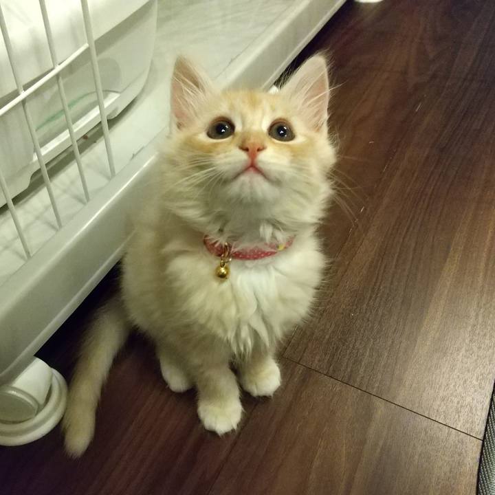 Cbf8038c 3f26 44d8 b051 8d186f9df081 1603977441992