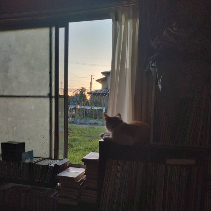 Cbf81421 d330 456a 9445 53401f8717aa 1753134222945