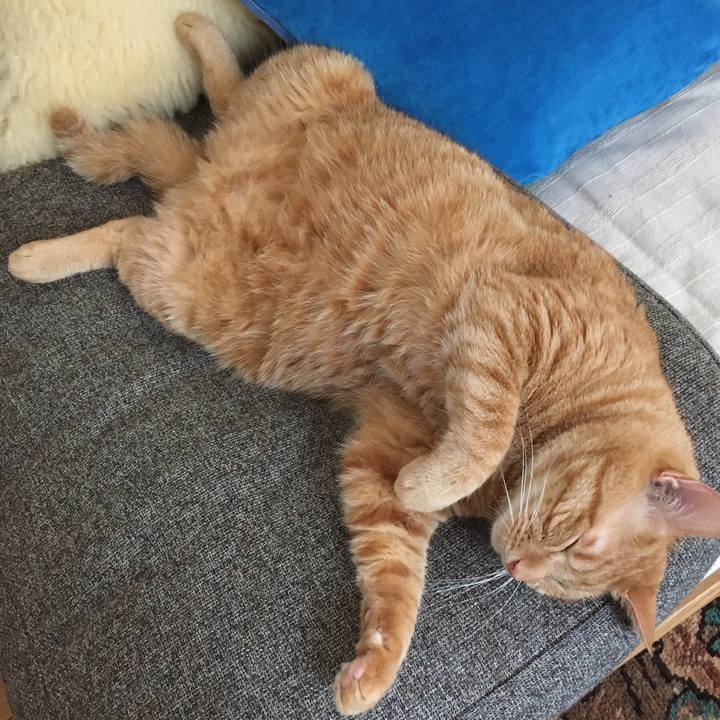 Cbf84923 468f 437e ad2c 6ee18316e49c 1598478455100