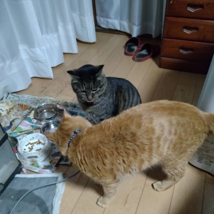 Cbf886ad 0f24 4a84 9b26 62714cd22037 1674514007150