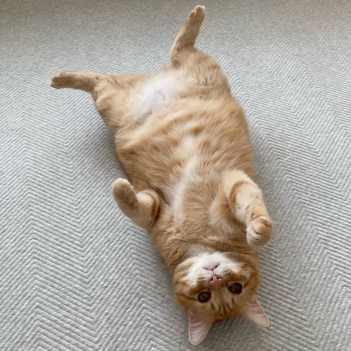 Cbf89cb4 d8c0 44e2 bf51 391bf5053a0c 1778193966150