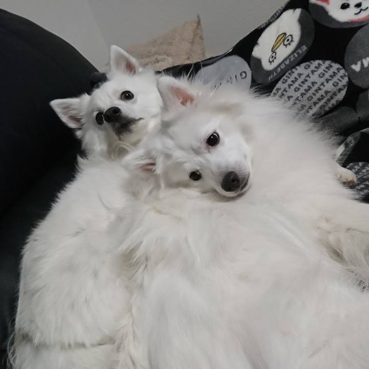 Cbf8a5b4 398b 450f 981a 0ae128af82da 1579079814198