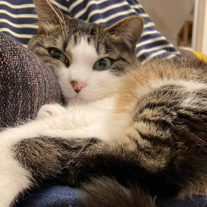 Cbf8bb60 09af 48ae b63d 570313e1c94f 1616597093751