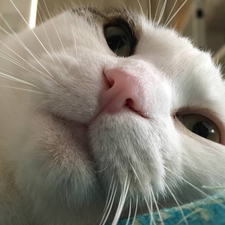 Cbf8fa3b d4d5 48d0 aa1b 41e310d8a2b3 1526074776209