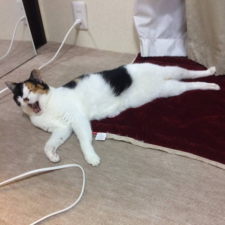 Cbf90119 886a 45be ae55 b95cbe0b9897 1594817538586