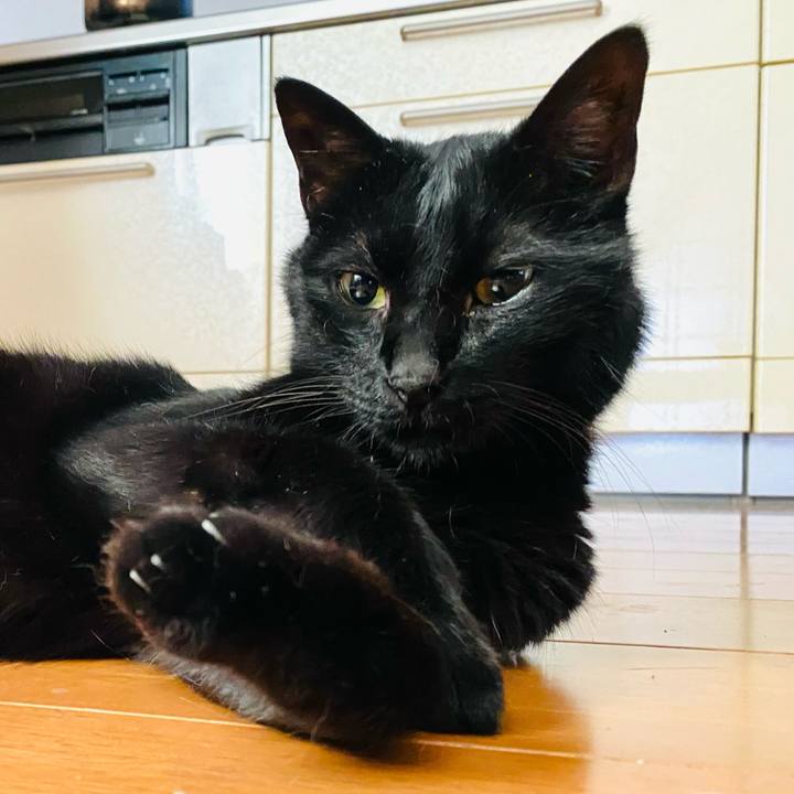 Cbf92262 1d4a 4d37 ba72 32abf13eafac 1659862017690