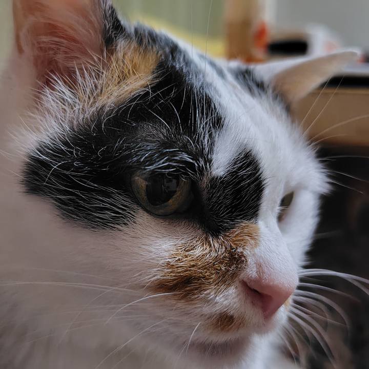 Cbf93854 7daf 492f bfa8 7d21ddec344c 1749908035285