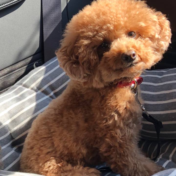 Cbf94d5a 3361 4dd8 9f25 1283de1ad6a6 1581816761532