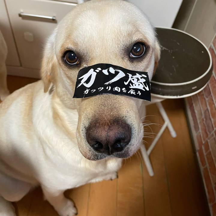 Cbf96f22 699d 4118 8278 c7bde18c7f47 1652701828092