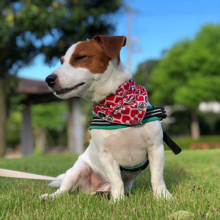 Cbf9b649 3117 4e6c a36e b13aea81f558 1598576477561