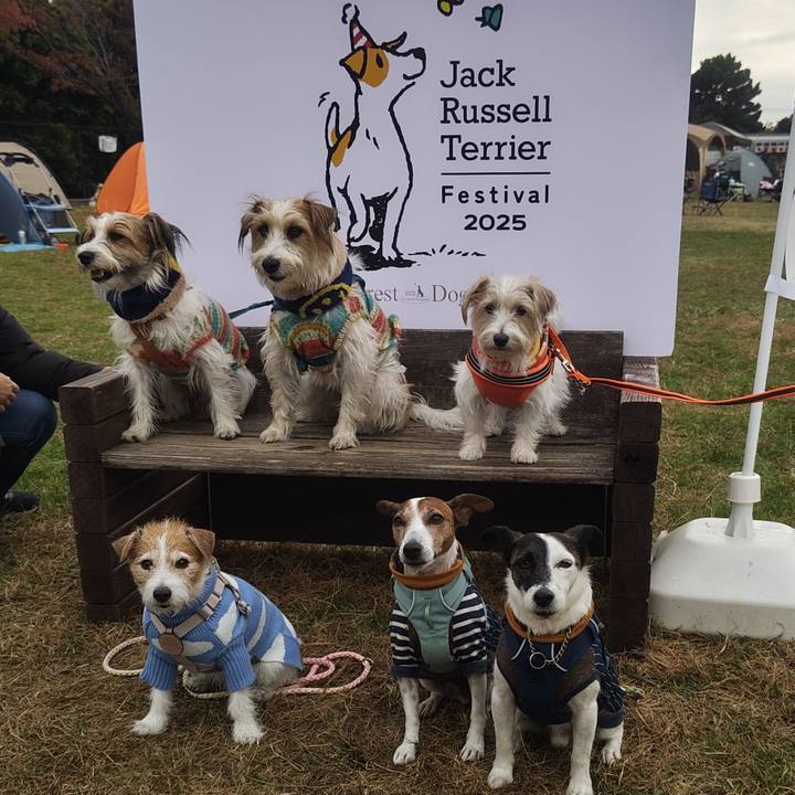 Cbfa360e e683 45a4 b13a d3d0bdef5c40 1763892495728