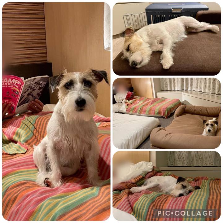 Cbfa4641 c9a1 42a9 b342 901b6564830c 1663145304722