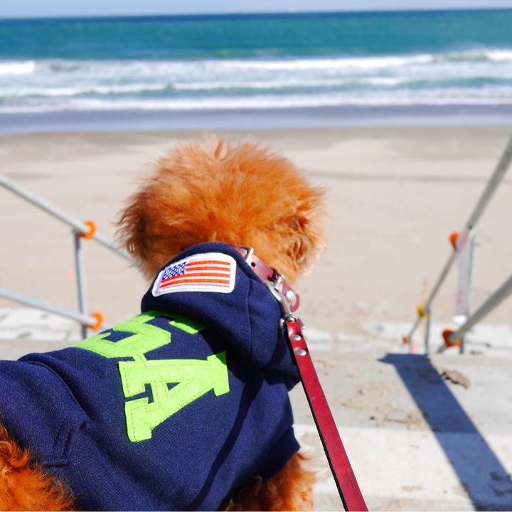 Cbfa9521 4616 4361 9646 4fa35cfa2953 1552562640145