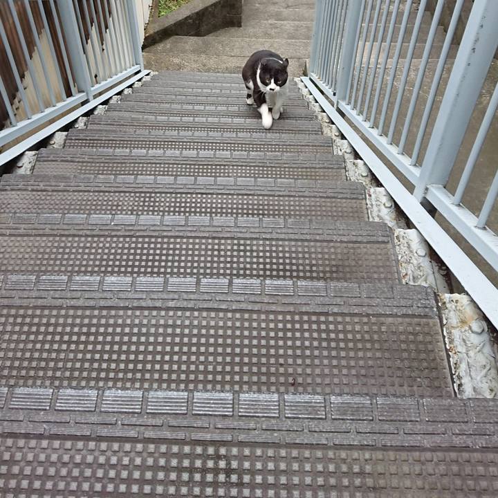 Cbfb07fc 827a 47e4 b724 98600f5ef5d4 1590137909835