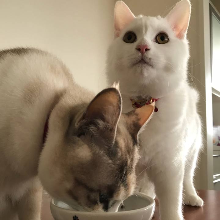 Cbfb1aca 1ad9 45b4 aec8 299283000efb 1515386420359