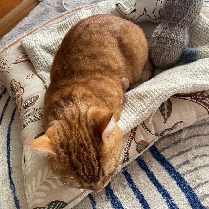 Cbfb3d9f a5eb 408d b91c 1b975791e9ab 1764990710380