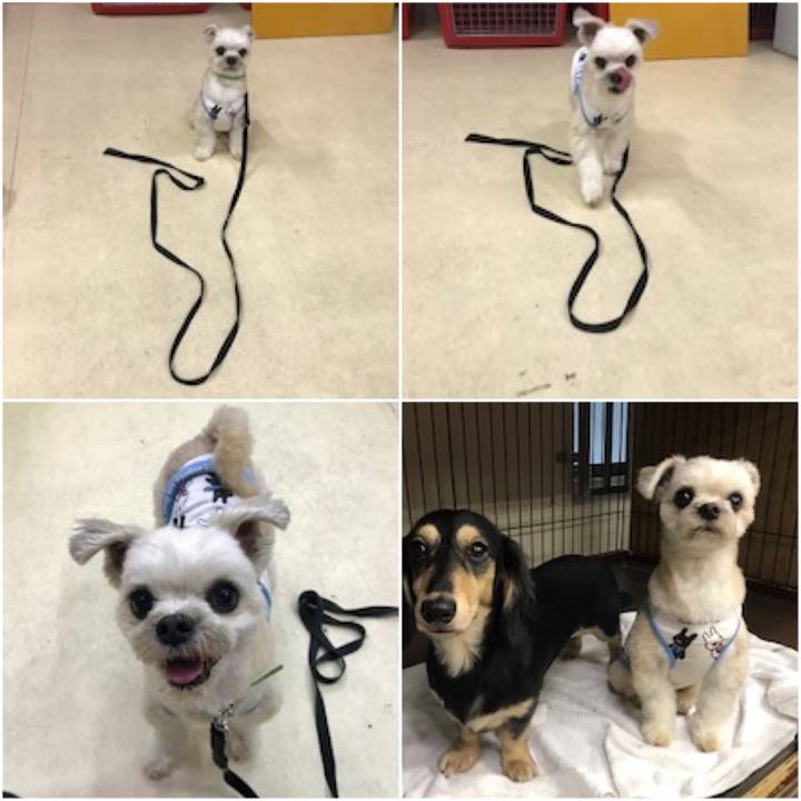 Cbfb4059 bb7f 4676 87d2 bc69eee95d4c 1562923654667