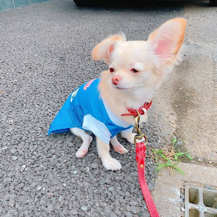 Cbfb558b 7776 4db9 b624 30a9821a5e9c 1631418713158