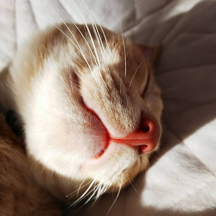 Cbfb5956 77ec 495e 8e62 731a3f882dd3 1549771079090