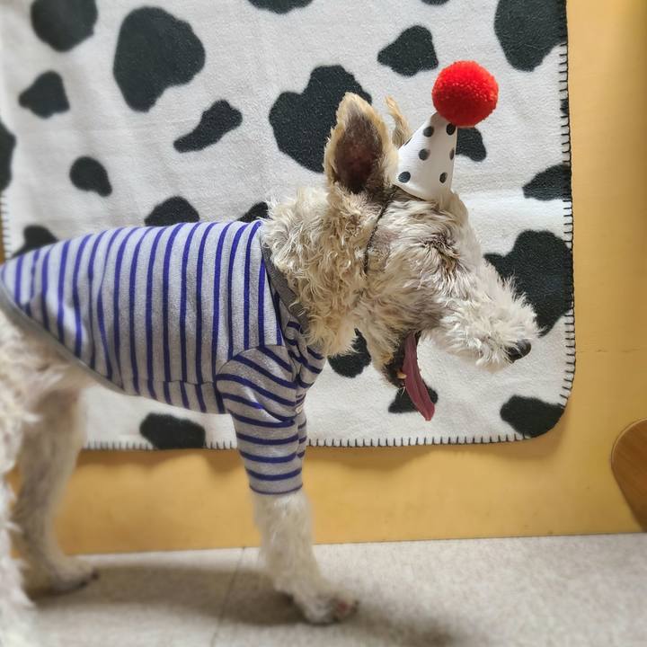 Cbfb6d30 05dc 4145 b830 fae09b8efe0b 1700228977282