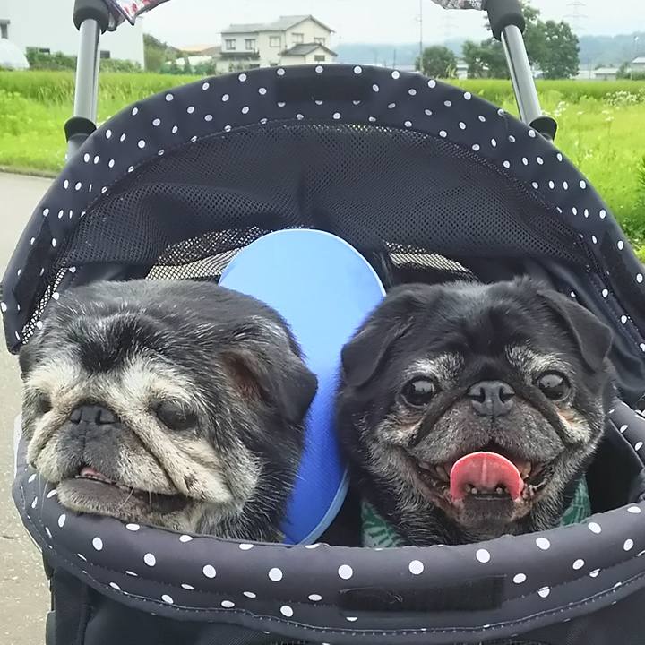 Cbfb956b 42b2 4f3c 8991 efe6c8b86bf5 1591278965531