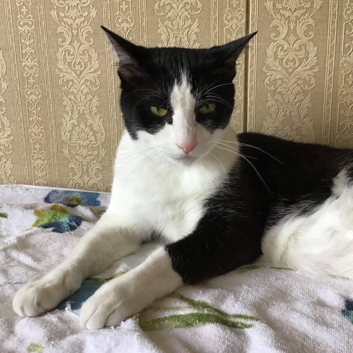 Cbfba5ec e56e 431c 9165 9549ebf62db8 1686912623130