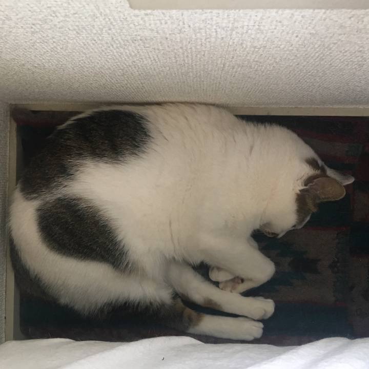 Cbfbe59f bfe1 4c2f ba43 5a27b72c2dc0 1527388669047