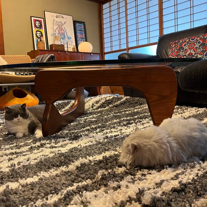 Cbfc36b3 7b3c 4eb2 9b1e 8fb6376e01df 1671246045895