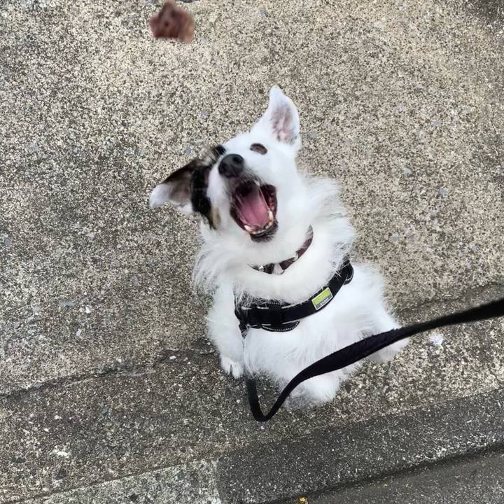 Cbfc7768 bf29 417d a022 f5e8a9073d04 1747959467280