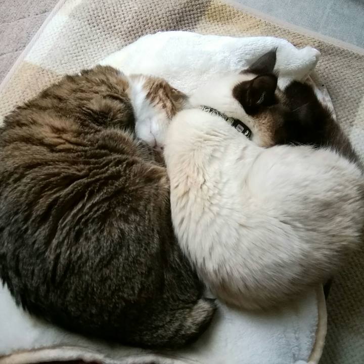 Cbfc7dcf 028f 4eb5 9c02 021b315c3951 1550847485960