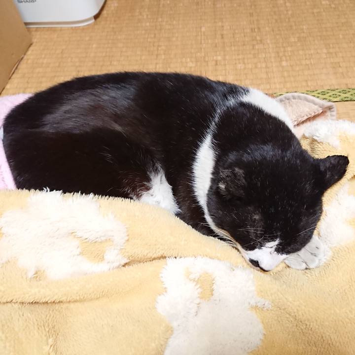 Cbfcdb2f fbb4 47ab b4b1 87e6e25dbb48 1610274382243