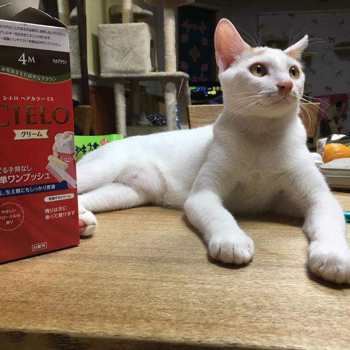 Cbfce9d8 bfdf 438e 966e 669766a92842 1508503999553