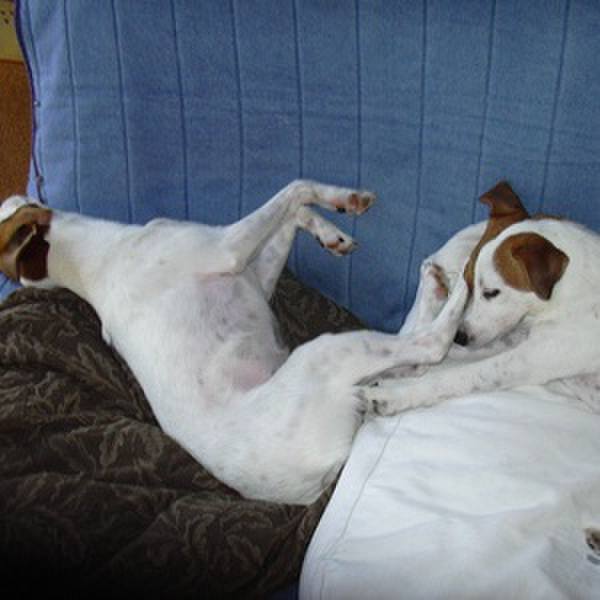 Cbfcffc2 6e12 42ac 92e8 8d291d664350 1524721112290