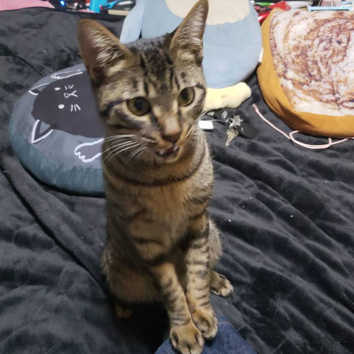 Cbfd02ad fd82 4af3 be95 282d96974c7f 1550656821884