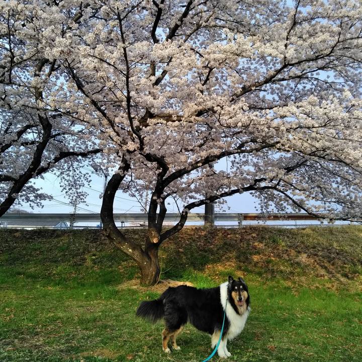 Cbfd0c43 d5d7 48aa b203 19b96629f03f 1522595743395