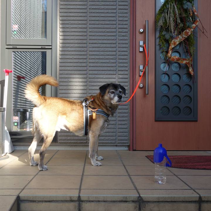 Cbfd0d18 62ec 4c88 8f8d 76336d7c82df 1512264423392