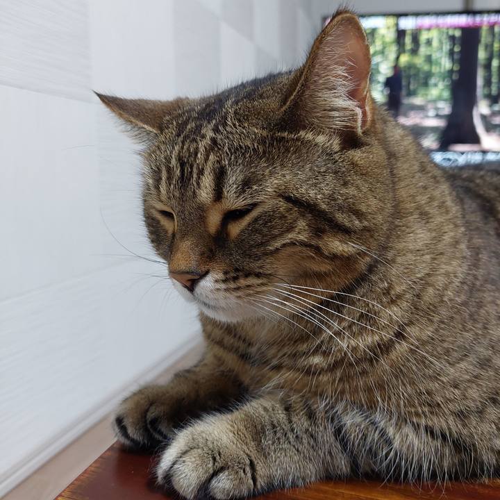 Cbfd2a96 b426 4022 93e8 228e4229a0e8 1634039178092