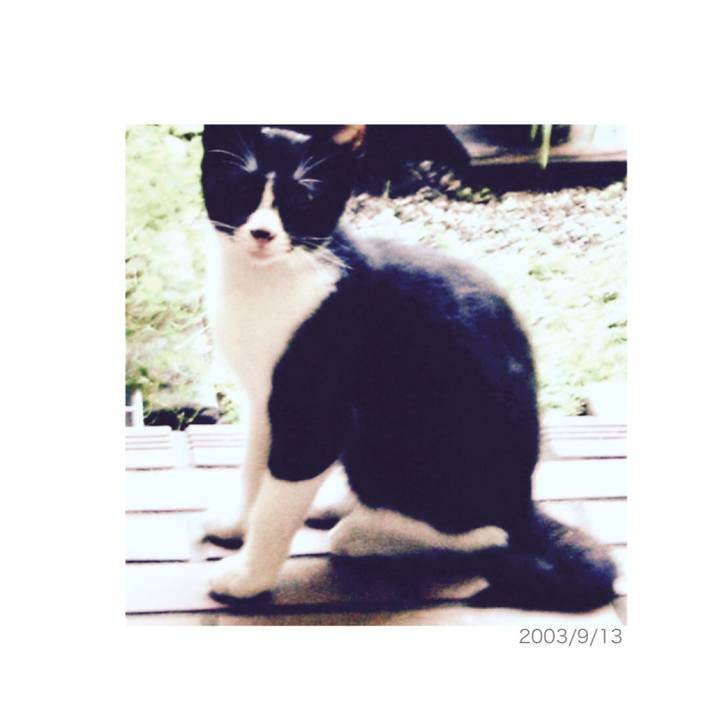 Cbfd3008 21e8 4339 9041 71de237a08cd 1602900989971