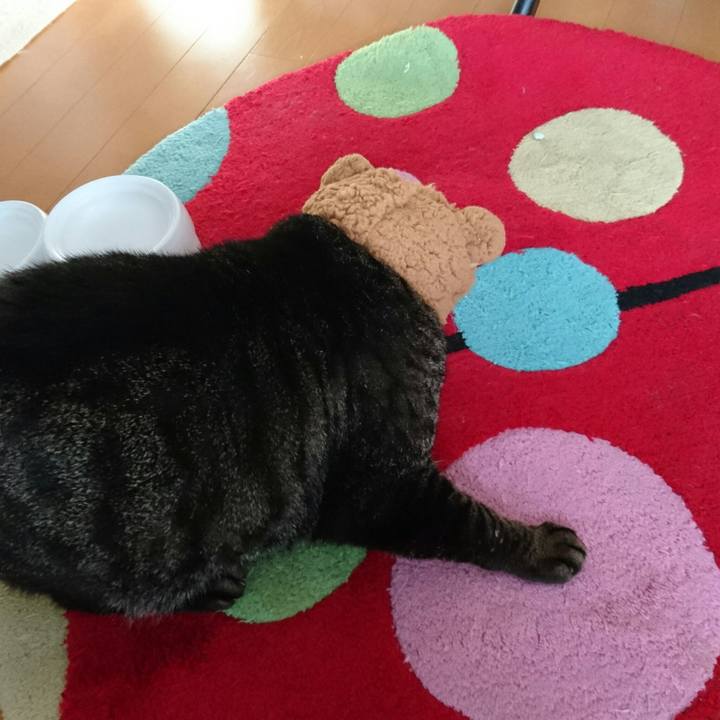 Cbfd3f30 4432 4a35 917a 2e20fada1361 1513489772992