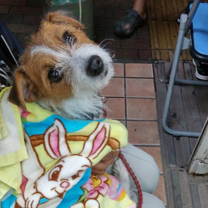 Cbfd505e 3ac3 451b 9bd1 b80fe17ff3bb 1535850595197