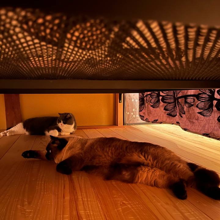 Cbfd516b 8c99 4f0d b9ac e0cecad5698b 1652013712180