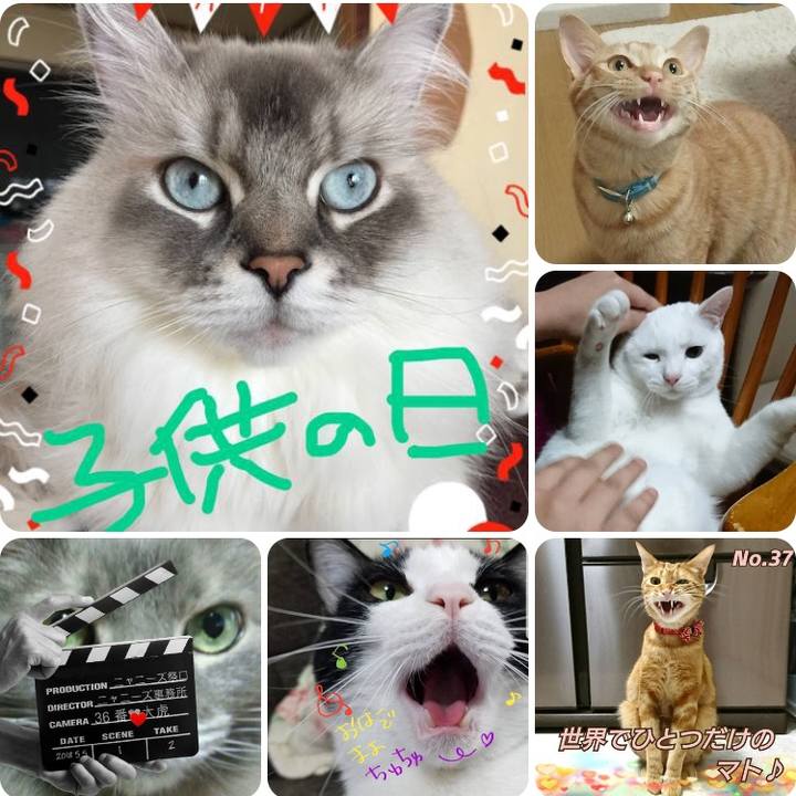 Cbfdd126 e043 4eac 9e9e d59ca52611ac 1526383968447