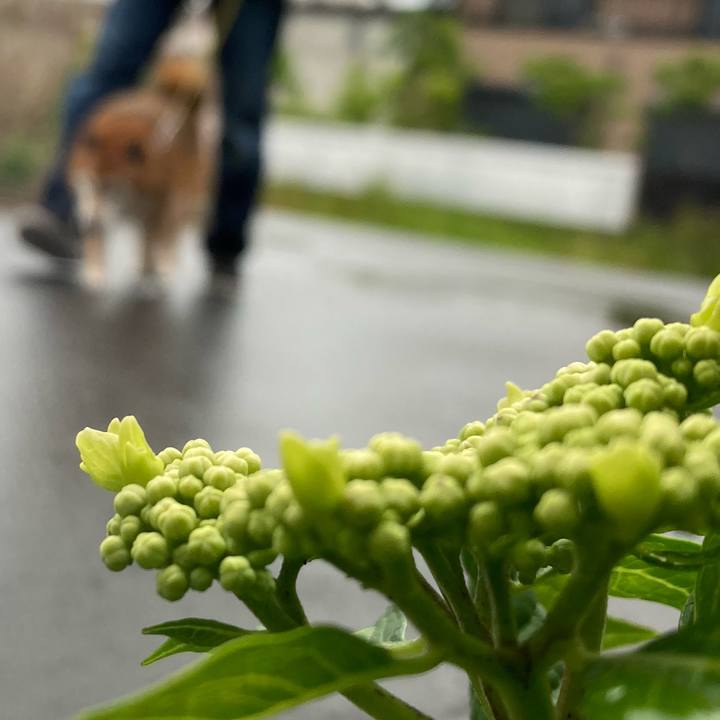 Cbfdd5c7 9ad6 46c2 a7f7 33ef3bc134cd 1683967963880