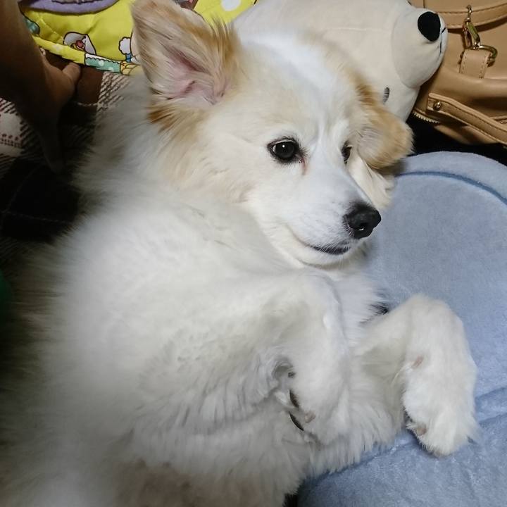 Cbfddbd3 27bc 453b 9497 86197b400f2b 1527249294638