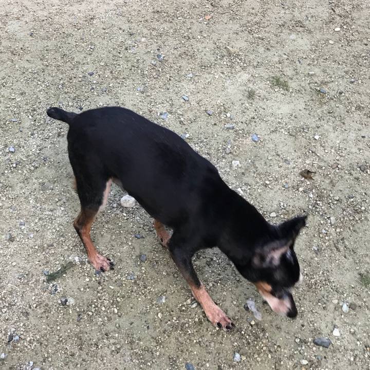 Cbfdfbae 6c9b 4875 9b6c b432c5a30d79 1537191723616