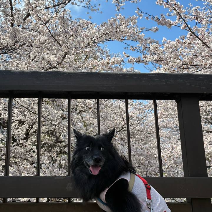 Cbfe2568 34a0 49dd 8326 390d2a56074d 1774678888822