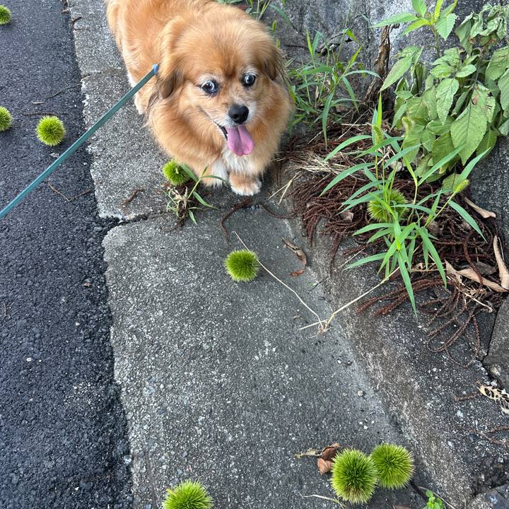 Cbfe2eb0 7f53 4b56 b468 4c45d48c96ea 1752876217725