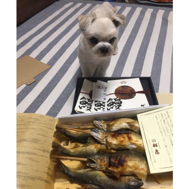 Cbfe3880 2be2 4268 a477 64c311b2fa3e 1531825572267