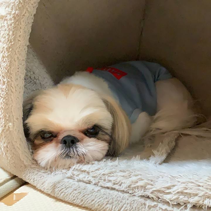 Cbfe990a 307a 487e a115 502cad80c8f8 1600086805425